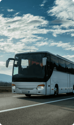 Concerts, Exhibition Events