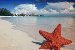 North Eleuthera Airport Transfers