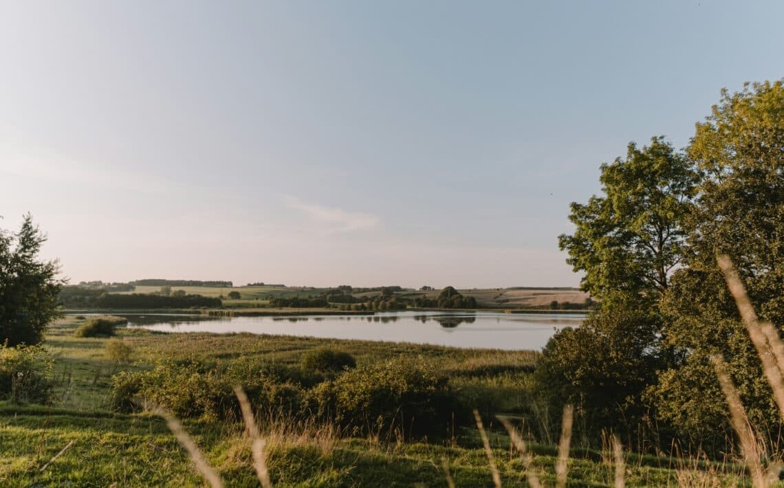 Billund Airport to Horsens