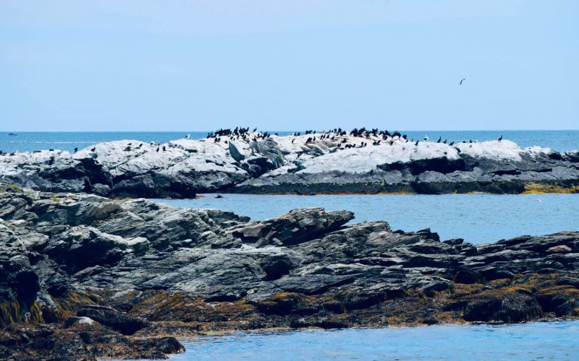 Bristol Airport to Newport