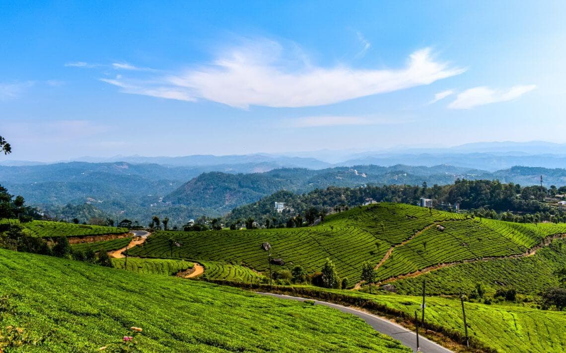 Cochin Airport to Munnar