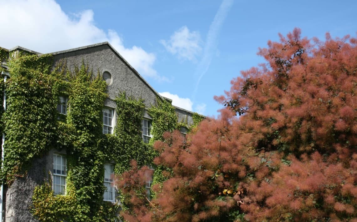 Dublin Airport to Maynooth