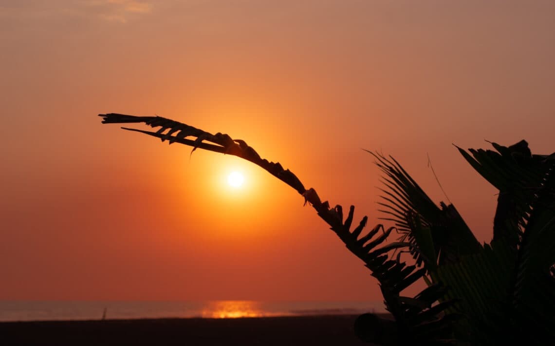 Dulles Airport to Reston VA