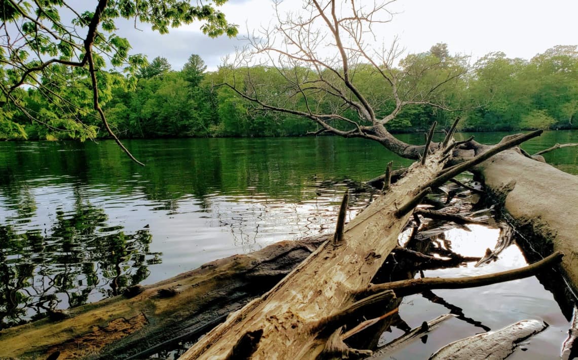 Gatwick Airport to Andover