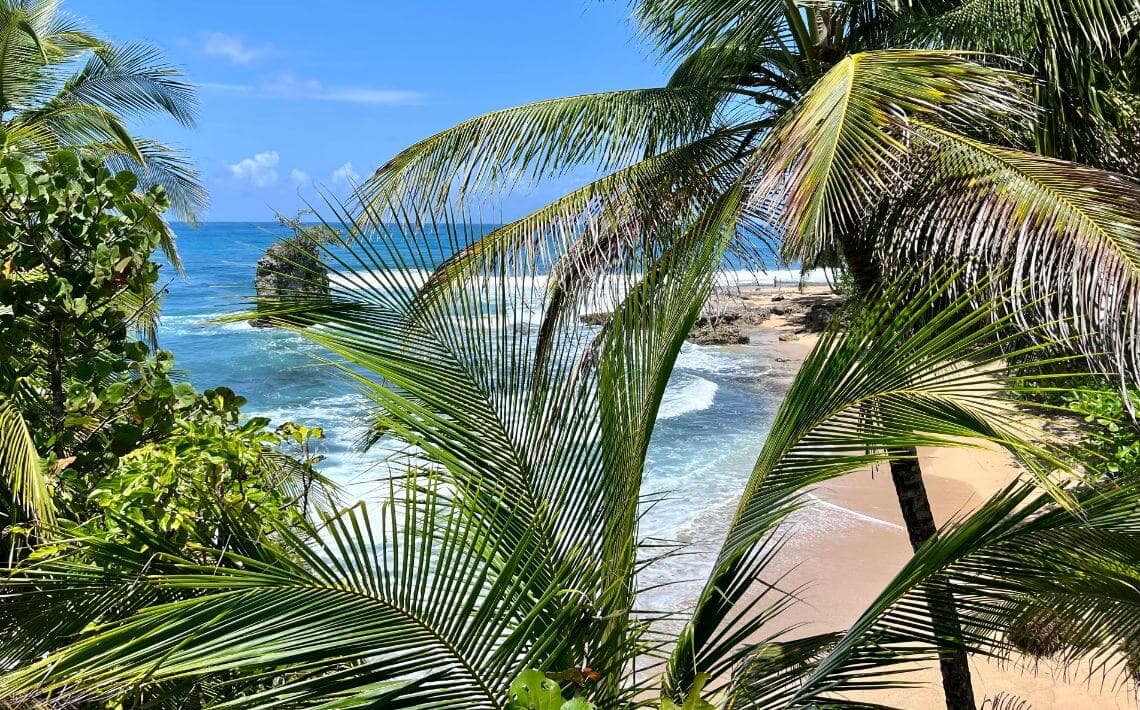 Limon Airport to Puerto Viejo