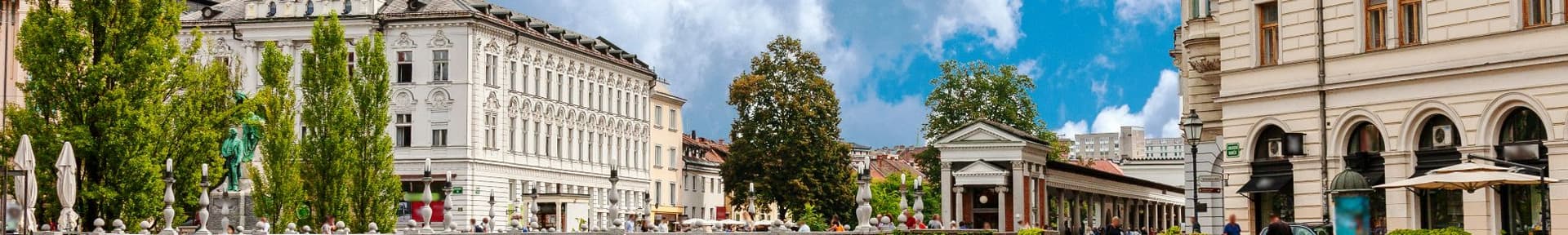 Ljubljana Airport to Kočevje
