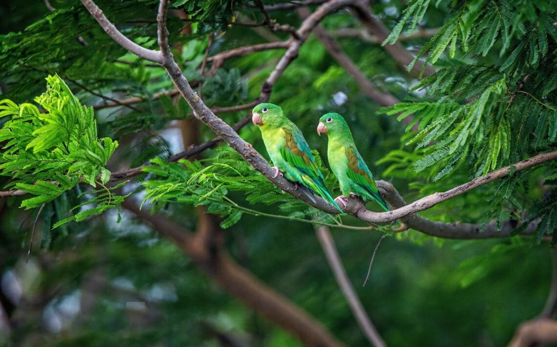Managua Airport to Leon