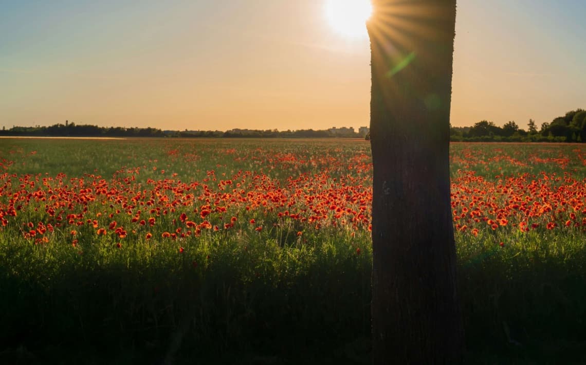 Munich Airport to Ottobrunn