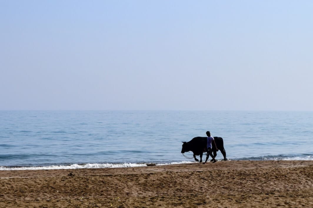 Muscat Airport to Sohar