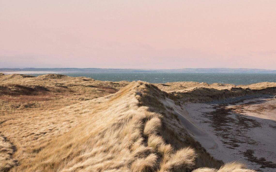 Newcastle Airport to Alnmouth