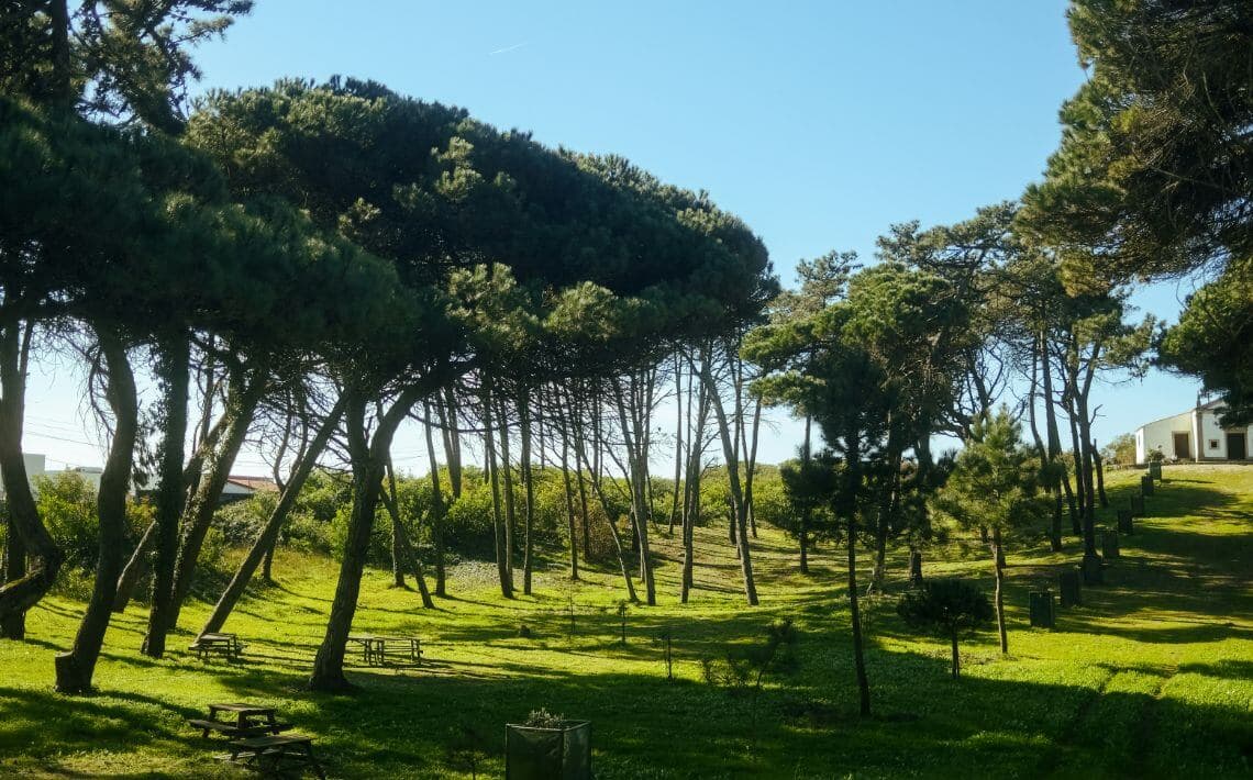 Porto Airport to Moledo