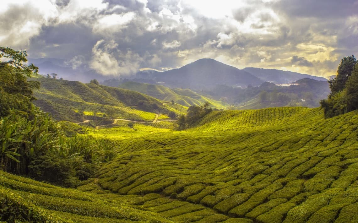 Sandakan Airport to Sepilok
