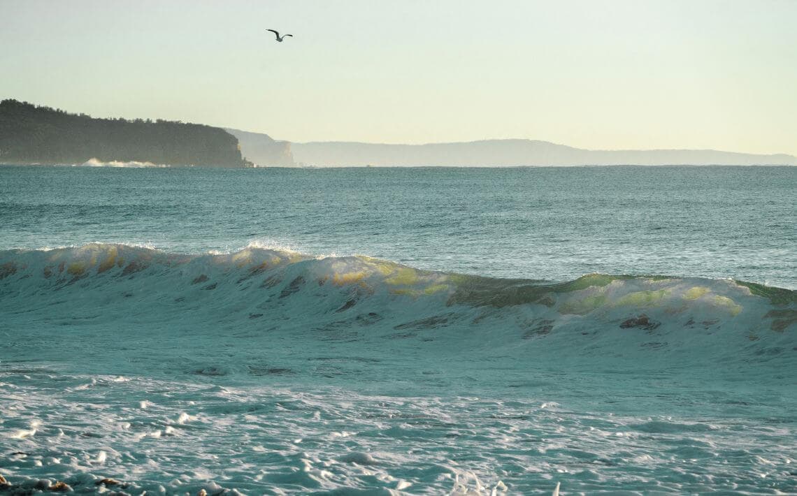Sydney Airport to Jervis Bay