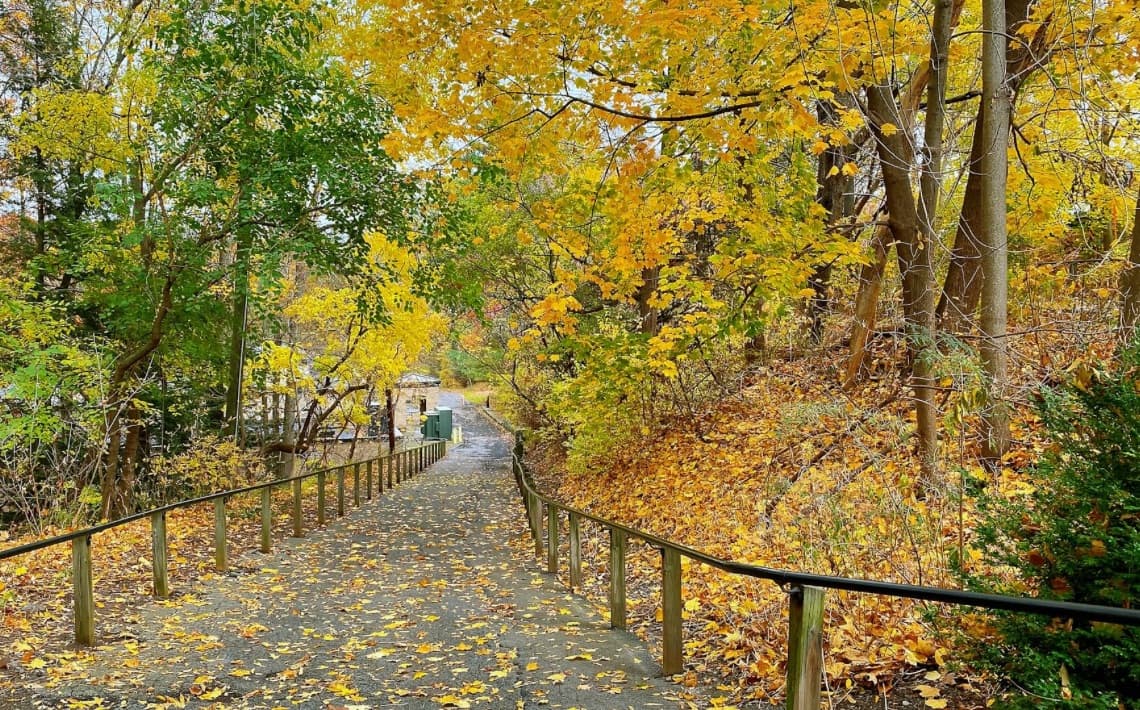 Syracuse Airport to Ithaca