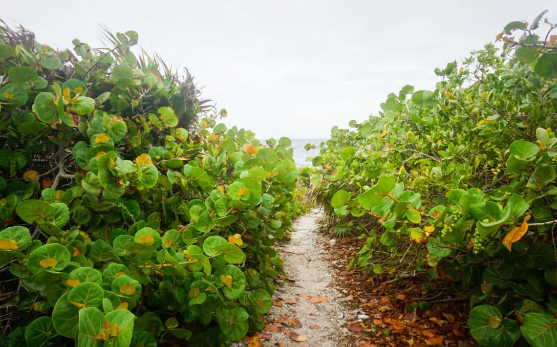 Tulum Airport to Akumal