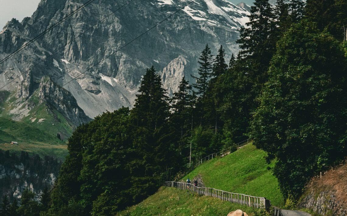 Zurich Airport to Gimmelwald