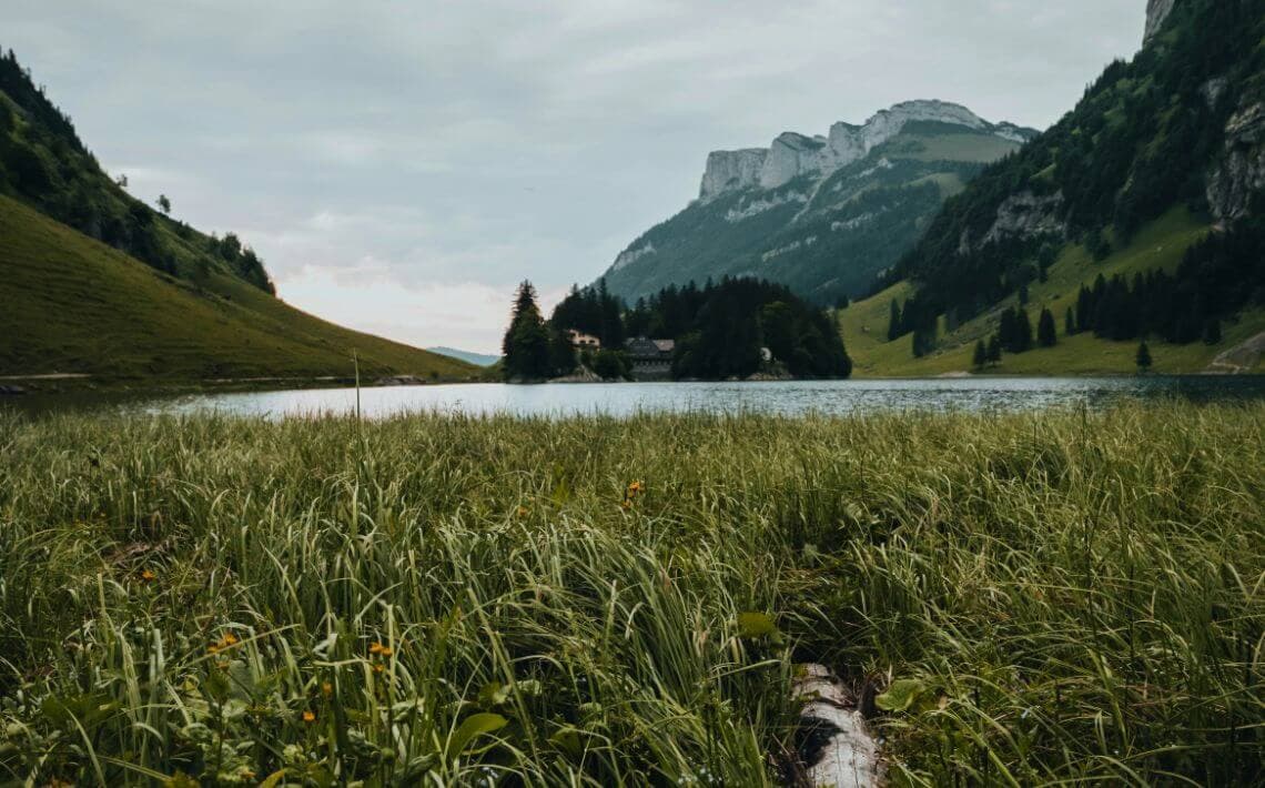 Zurich Airport to Heerbrugg