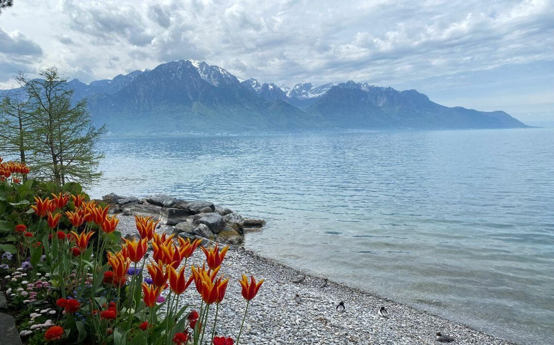 Zurich Airport to Montreux