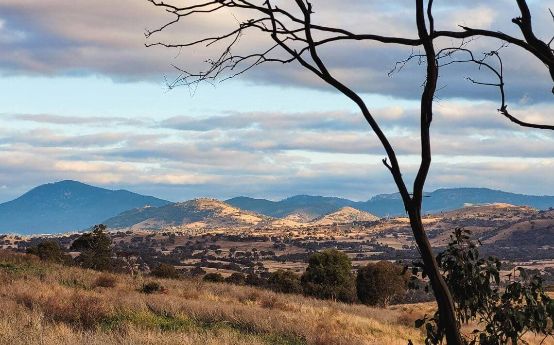Adelaide Airport to Angaston
