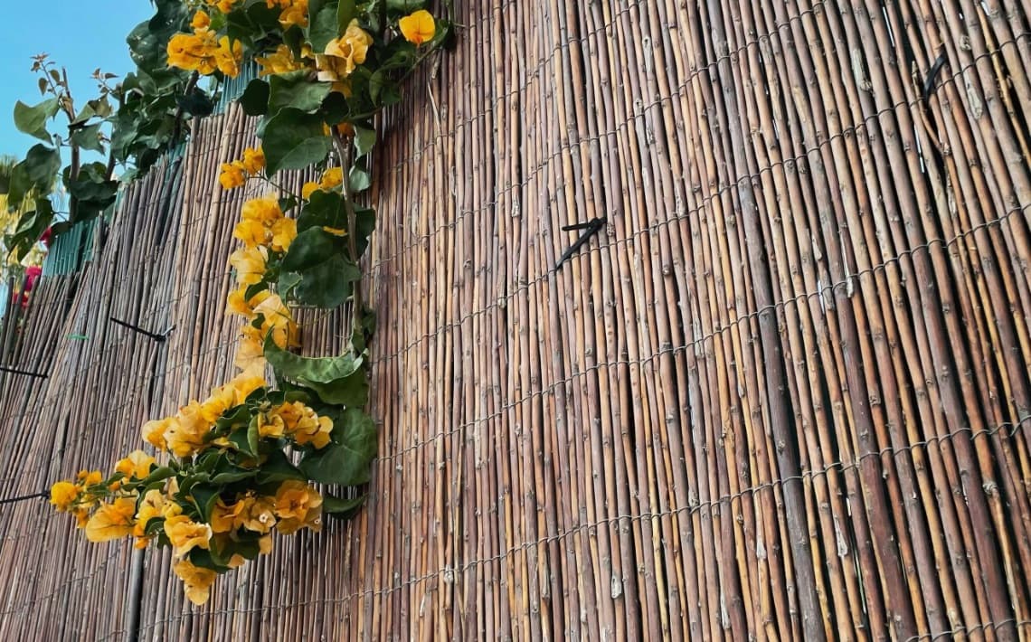 Malaga Airport to Aguadulce