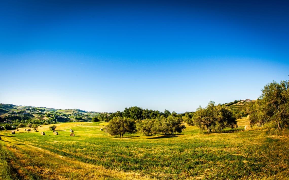 Ancona Airport to Civitanova Marche