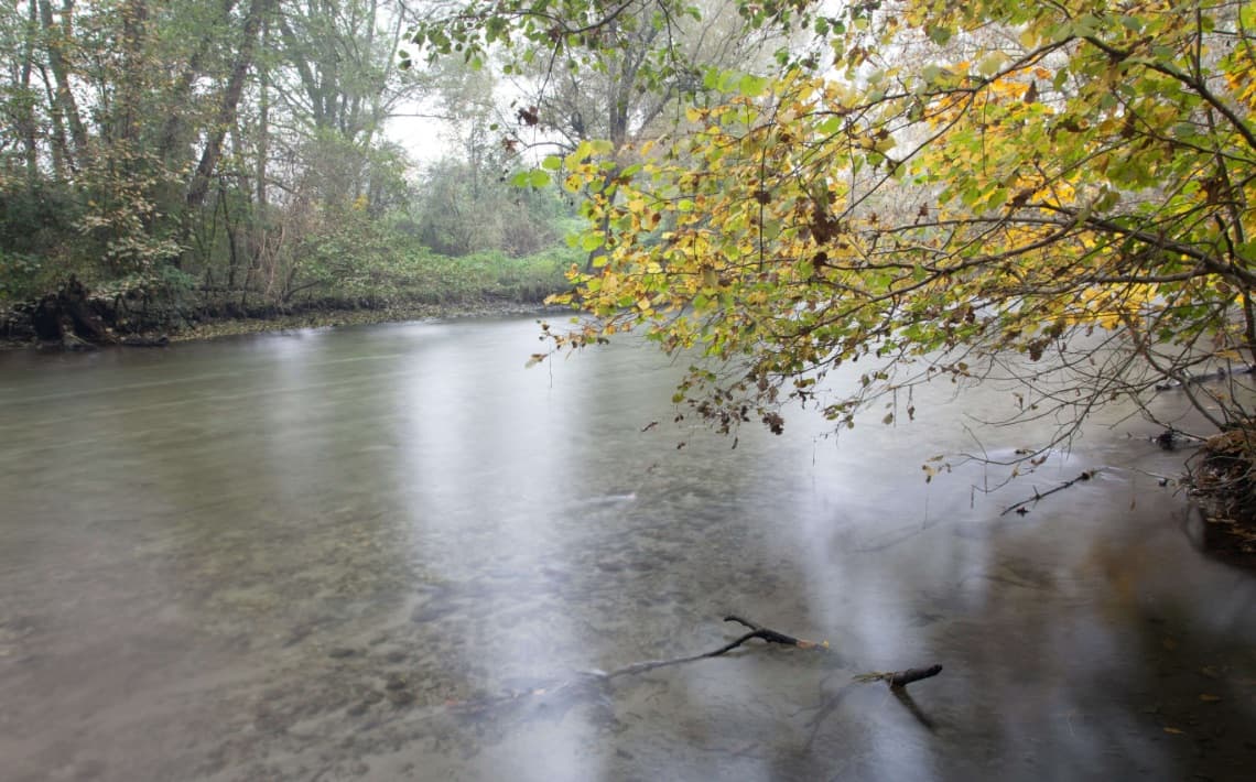 Ancona Airport to Fermo