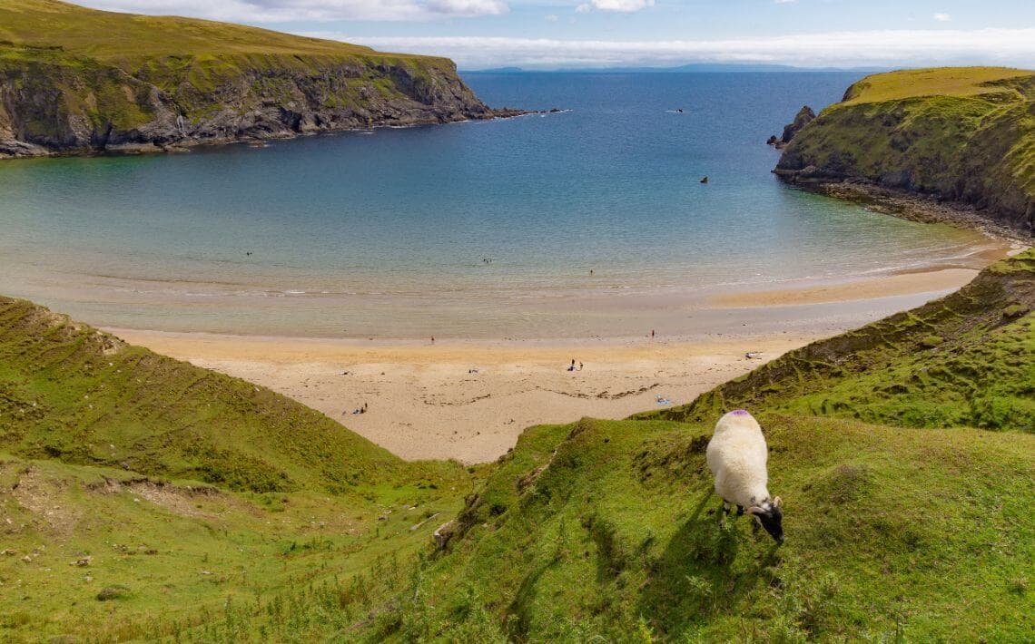 Belfast Airport to Donegal