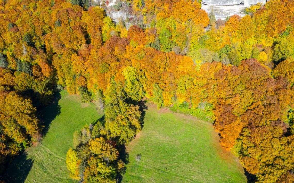 Bern Airport to Belp