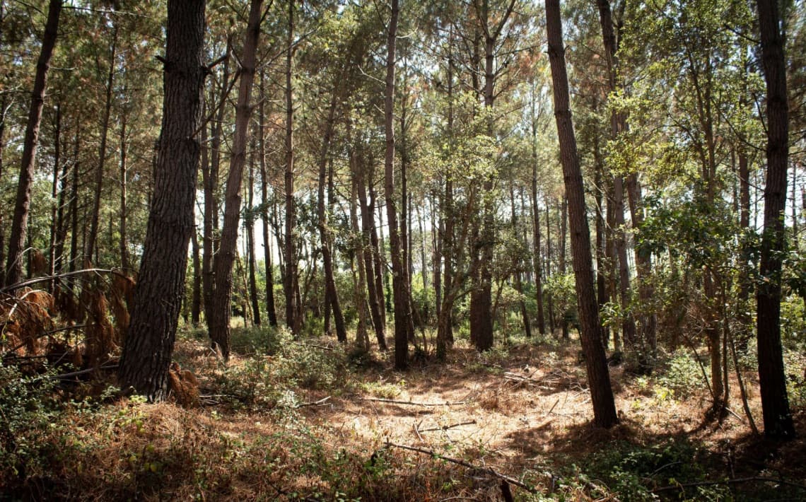 Biarritz Airport to Messanges
