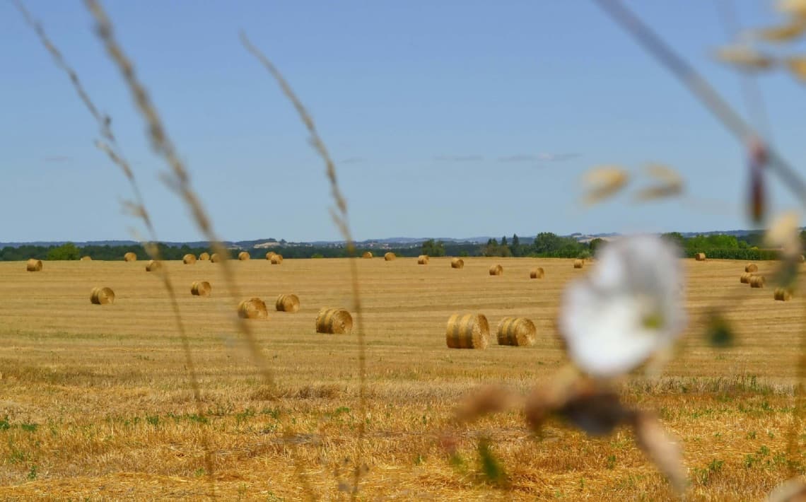 Bordeaux Airport to Riberac