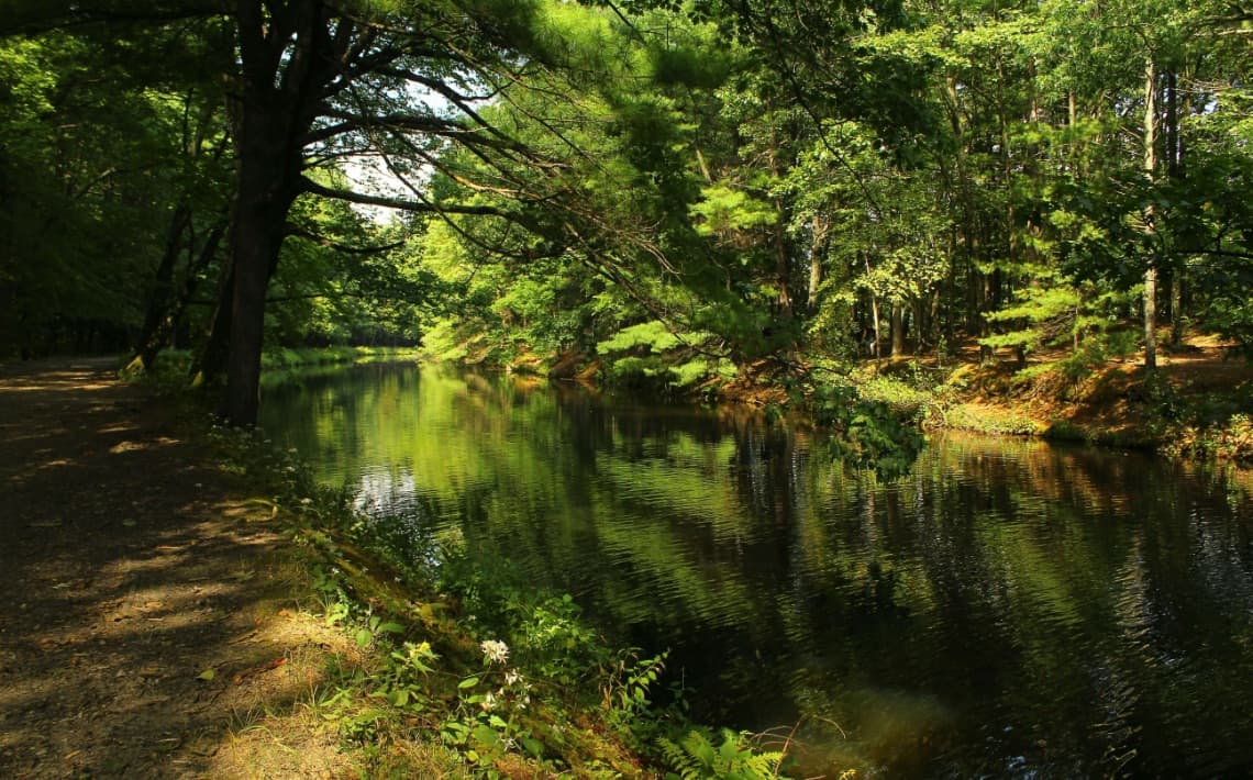 Boston Logan Airport to Nashua