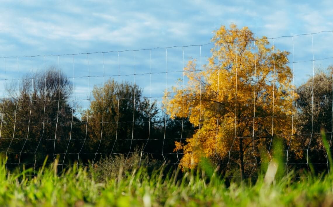 Budapest Airport to Szeged