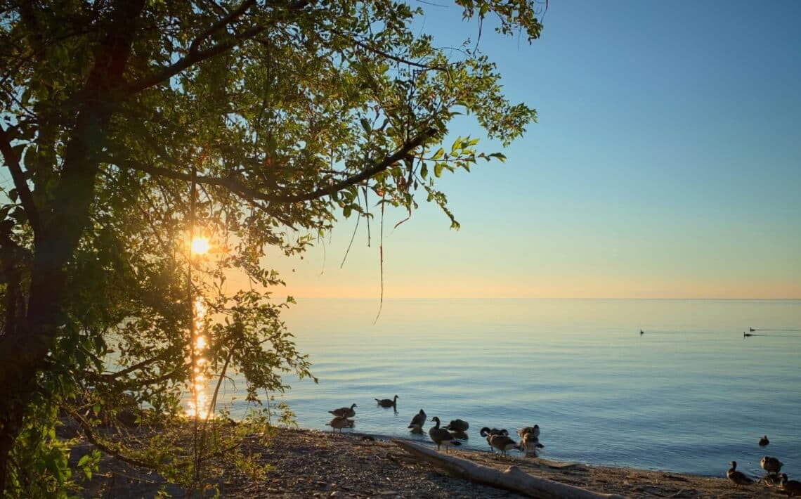 Buffalo Airport to Mississauga