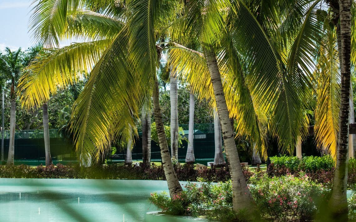 Cancun Airport to Iberostar