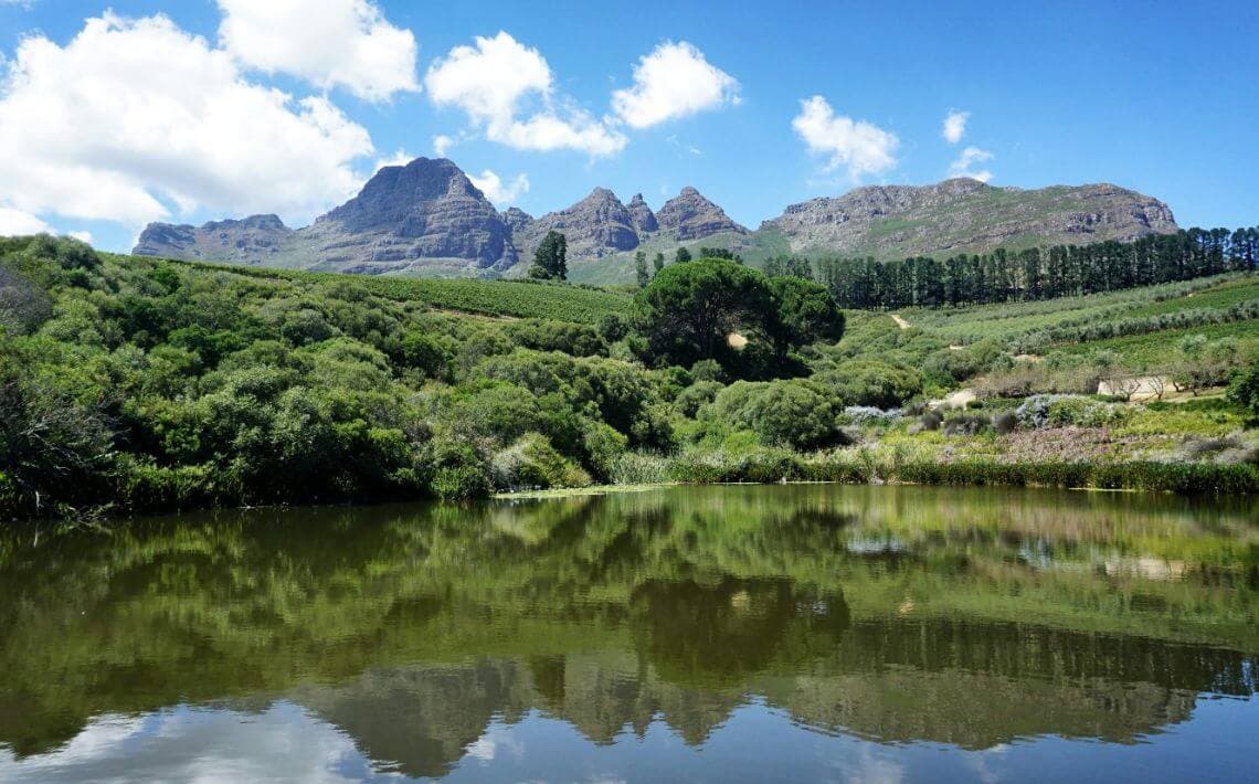 Cape Town Airport to Franschhoek