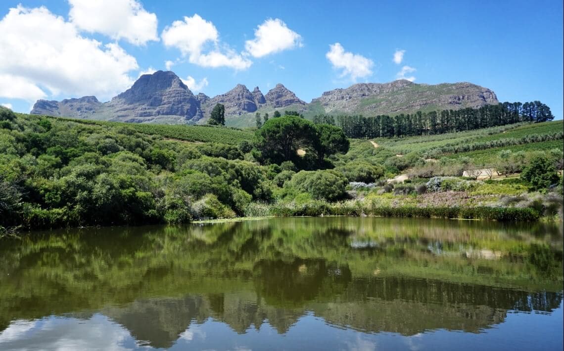 Cape Town Airport to Stellenbosch