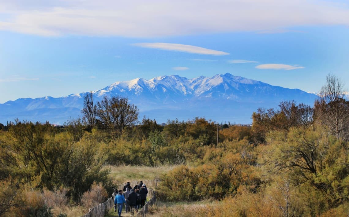 Carcassonne Airport to Perpignan
