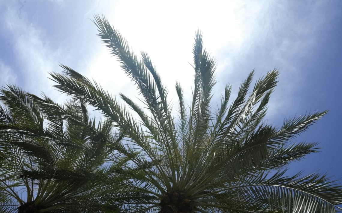 Chania Airport to Agia Marina