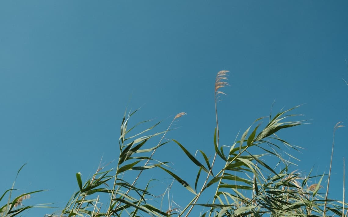 Crete Heraklion Airport to Analipsi