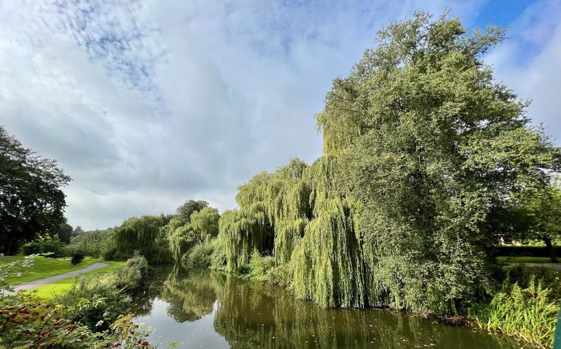 How to Get from Darlington to Newcastle Airport?