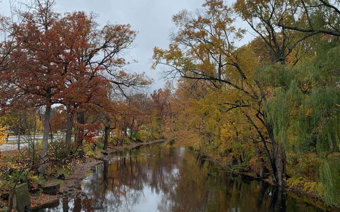 Detroit DTW Airport to East Lansing