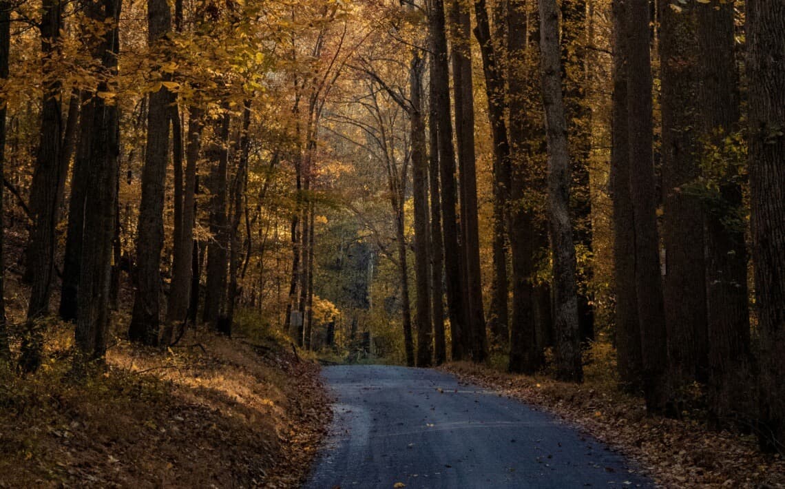 Dulles Airport to Maryland