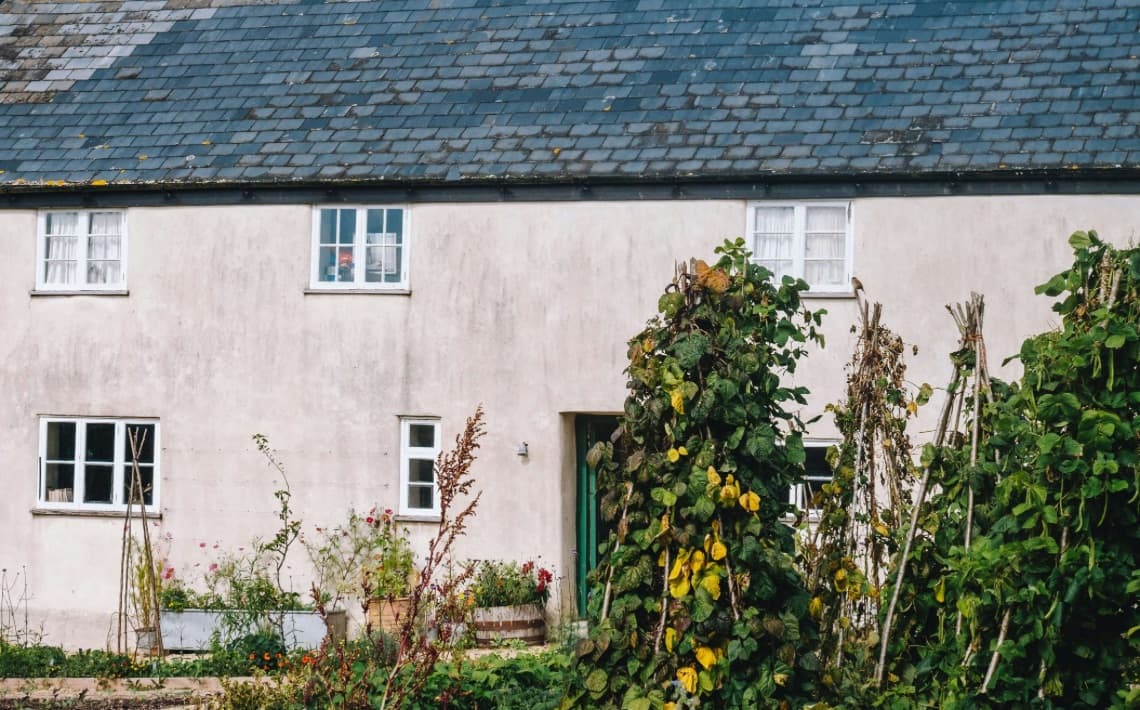 Exeter Airport to Axminster