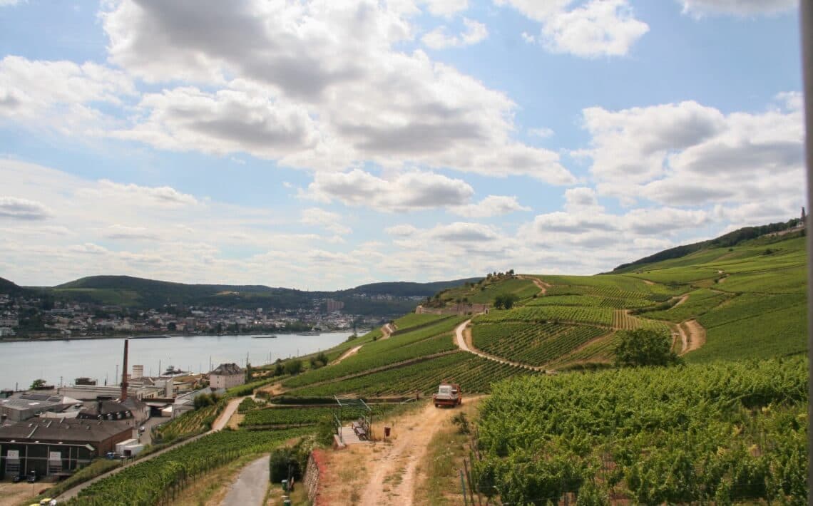 Frankfurt Airport to Rüdesheim