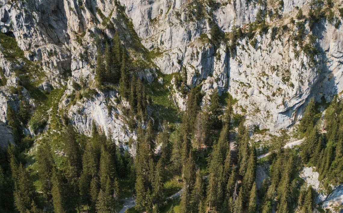 Geneva Airport to Kandersteg