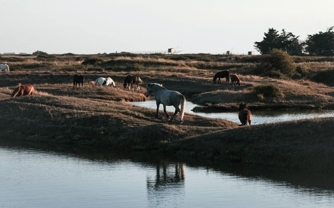 Geneva Airport to Moutiers