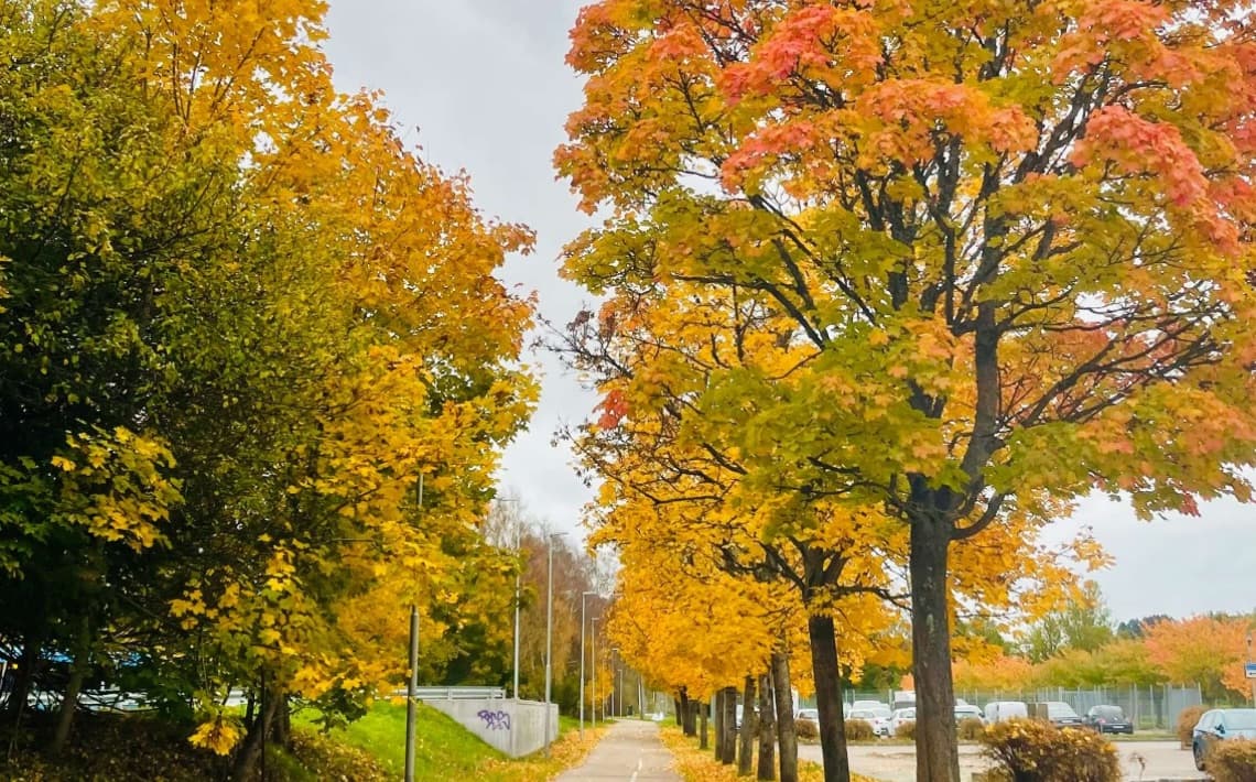 Gothenburg City Airport to Mölndal