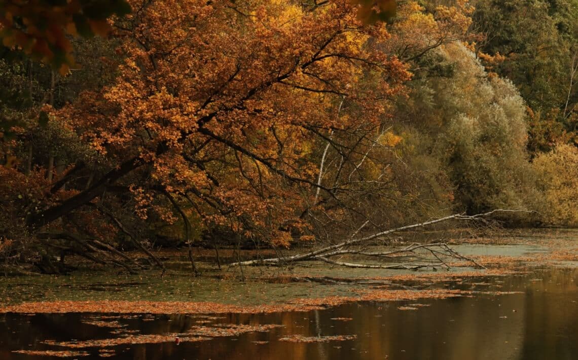 Hannover Airport to Braunschweig