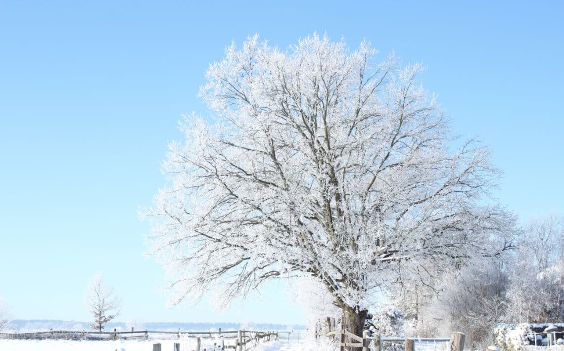 Hannover Airport to Wolfsburg