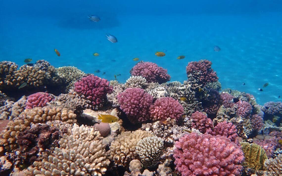 Hurghada Airport to Sahl Hasheesh